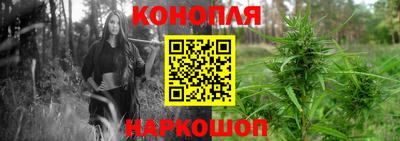 наркотики Заводоуковск