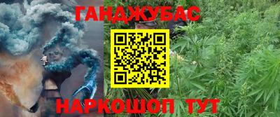 молекула духа Заволжье
