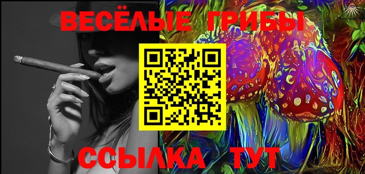Галлюциногенные грибы Psilocybine cubensis  купить  цена  Миасс  Вход с VPN 